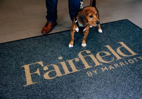is the marriott pet friendly|Best Pet.